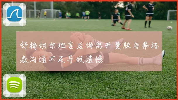 舒梅切尔坦言后悔离开曼联与弗格森沟通不足导致遗憾