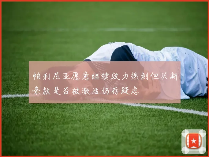 帕利尼亚愿意继续效力热刺但买断条款是否被激活仍存疑虑